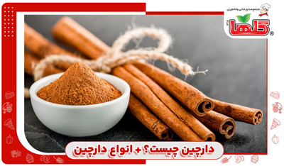 دارچین چیست؟ + انواع دارچین
